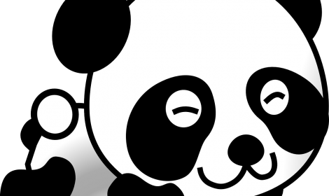 Panda 4.1
